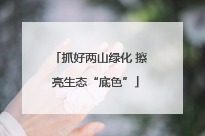 抓好两山绿化 擦亮生态“底色”