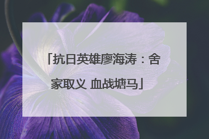 抗日英雄廖海涛：舍家取义 血战塘马
