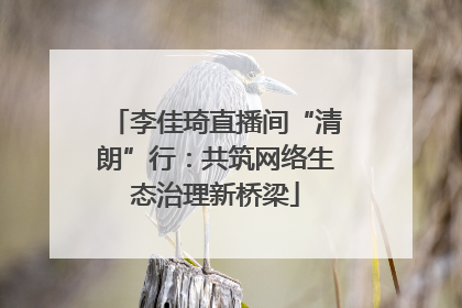 李佳琦直播间“清朗”行：共筑网络生态治理新桥梁