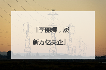 李丽娜，履新万亿央企