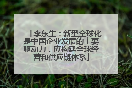 李东生：新型全球化是中国企业发展的主要驱动力，应构建全球经营和供应链体系