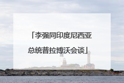 李强同印度尼西亚总统普拉博沃会谈