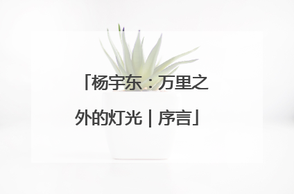 杨宇东：万里之外的灯光｜序言