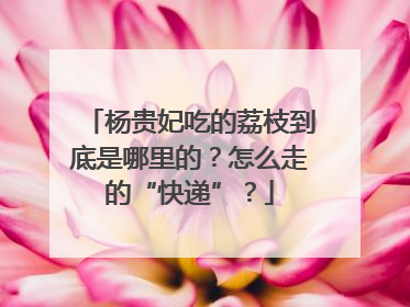 杨贵妃吃的荔枝到底是哪里的？怎么走的“快递”？