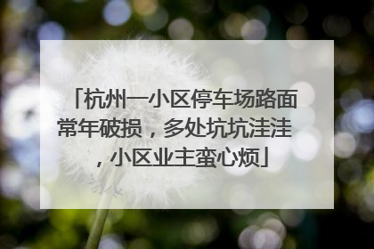 杭州一小区停车场路面常年破损，多处坑坑洼洼，小区业主蛮心烦