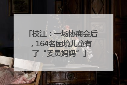 枝江：一场协商会后，164名困境儿童有了“委员妈妈”