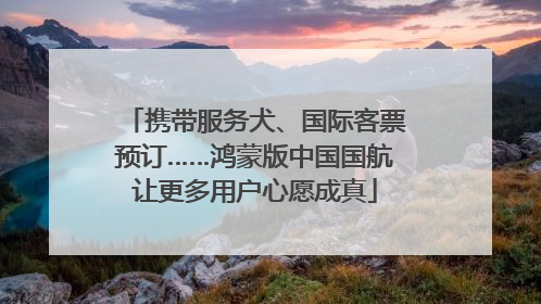 携带服务犬、国际客票预订……鸿蒙版中国国航让更多用户心愿成真