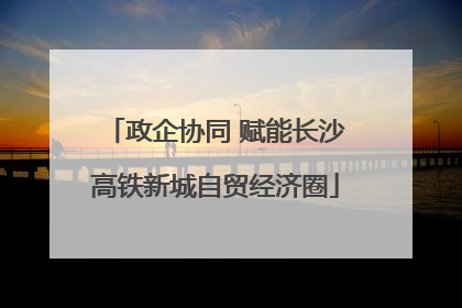 政企协同 赋能长沙高铁新城自贸经济圈