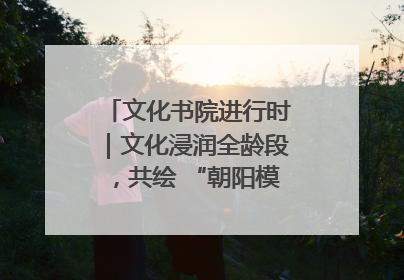 文化书院进行时｜文化浸润全龄段，共绘 “朝阳模式” 新图景！