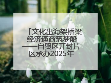 文化出海架桥梁 经济通商筑梦船——自贸区开封片区承办2025年匈牙利文旅交流对接活动专场