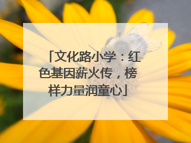 文化路小学：红色基因薪火传，榜样力量润童心