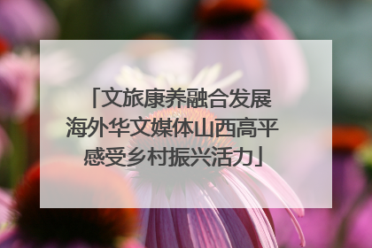 文旅康养融合发展 海外华文媒体山西高平感受乡村振兴活力