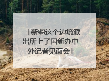 新疆这个边境派出所上了国新办中外记者见面会