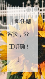 新任副省长，分工明确！