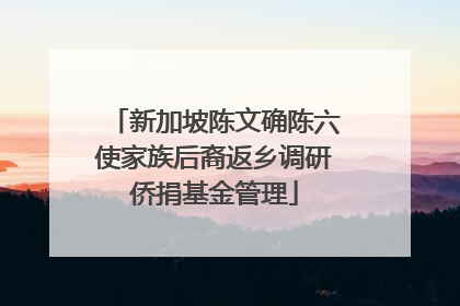 新加坡陈文确陈六使家族后裔返乡调研侨捐基金管理