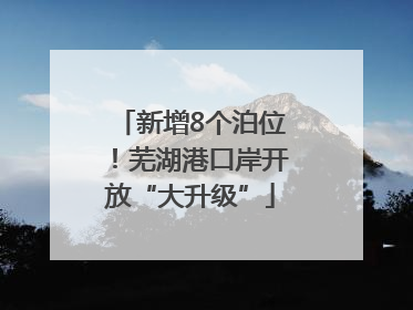 新增8个泊位！芜湖港口岸开放“大升级”