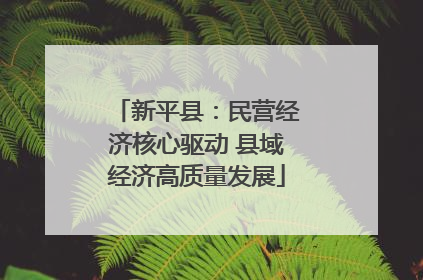 新平县：民营经济核心驱动 县域经济高质量发展