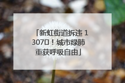 新虹街道拆违 1307㎡！城市绿肺重获呼吸自由