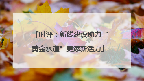 时评：新线建设助力“黄金水道”更添新活力