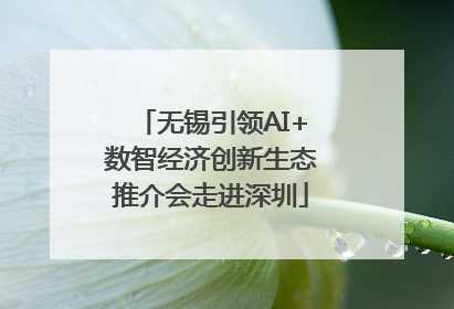 无锡引领AI+数智经济创新生态推介会走进深圳