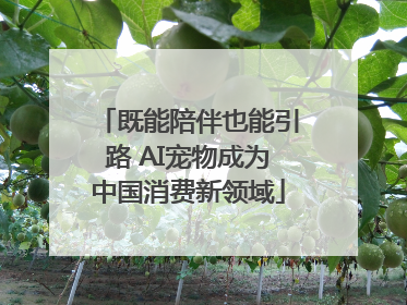 既能陪伴也能引路 AI宠物成为中国消费新领域
