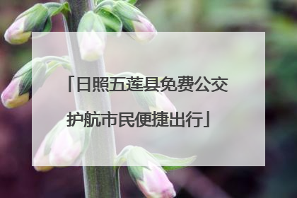 日照五莲县免费公交护航市民便捷出行