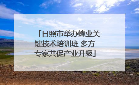日照市举办蜂业关键技术培训班 多方专家共促产业升级
