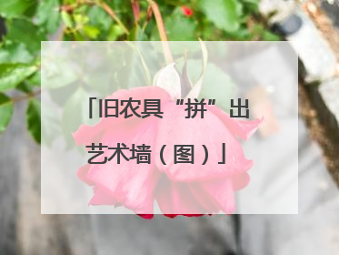 旧农具“拼”出艺术墙（图）
