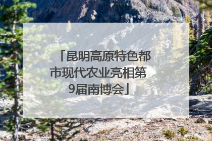 昆明高原特色都市现代农业亮相第9届南博会