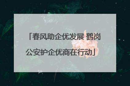 春风助企优发展 鹤岗公安护企优商在行动