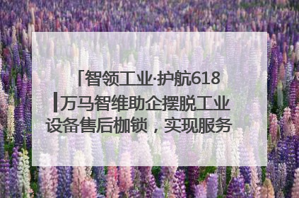 智领工业·护航618┃万马智维助企摆脱工业设备售后枷锁，实现服务与效能价值共振！