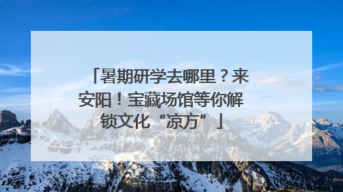 暑期研学去哪里？来安阳！宝藏场馆等你解锁文化“凉方”