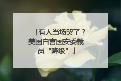 有人当场哭了？美国白宫国安委裁员“降级”