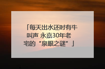 每天出水还时有牛叫声 永嘉30年老宅的“泉眼之谜”