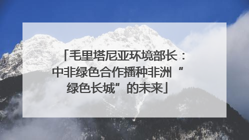 毛里塔尼亚环境部长：中非绿色合作播种非洲“绿色长城”的未来