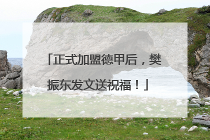 正式加盟德甲后，樊振东发文送祝福！