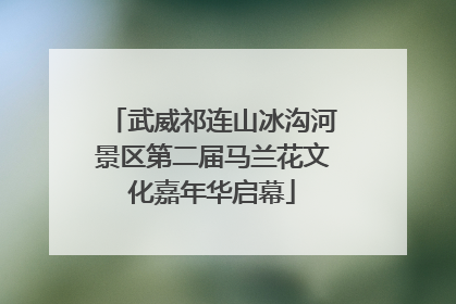 武威祁连山冰沟河景区第二届马兰花文化嘉年华启幕