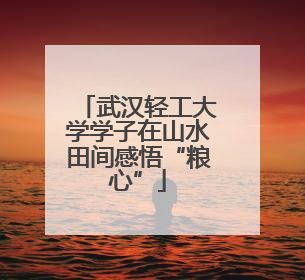 武汉轻工大学学子在山水田间感悟“粮心”