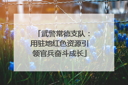武警常德支队：用驻地红色资源引领官兵奋斗成长