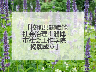 校地共建赋能社会治理！淄博市社会工作学院揭牌成立