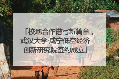校地合作谱写新篇章，武汉大学·咸宁低空经济创新研究院签约成立