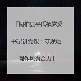桐柏县平氏镇党委书记讲党课：守规矩强作风聚合力
