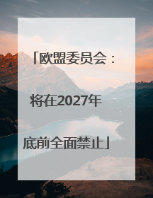 欧盟委员会：将在2027年底前全面禁止