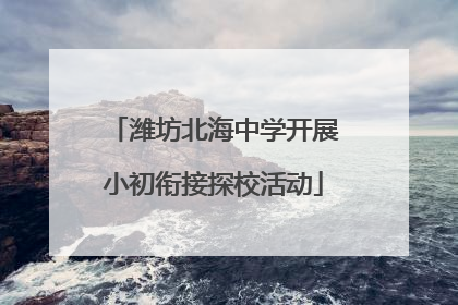 潍坊北海中学开展小初衔接探校活动