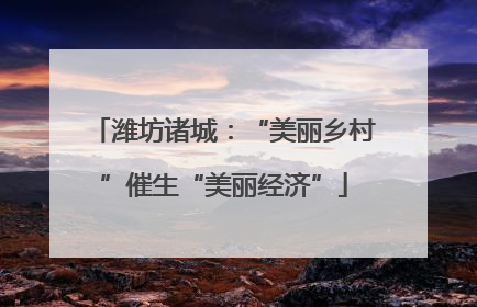 潍坊诸城：“美丽乡村”催生“美丽经济”