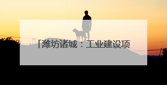 潍坊诸城：工业建设项目涉水类审批“一件事” 为企业提速增值