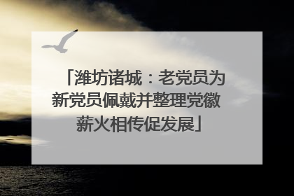 潍坊诸城：老党员为新党员佩戴并整理党徽 薪火相传促发展
