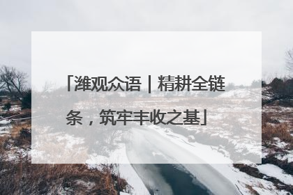 潍观众语｜精耕全链条，筑牢丰收之基
