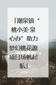 潮泉镇“桃小美·泉心办”助力梦幻桃花源项目扬帆起航