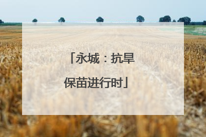 永城：抗旱保苗进行时